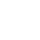VLERICK